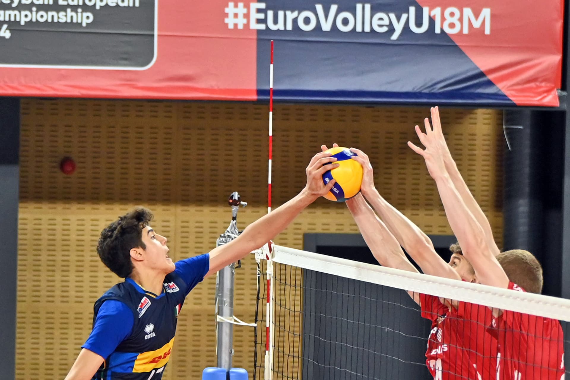 Manuel Zlatanov is coming back to Bulgaria in August