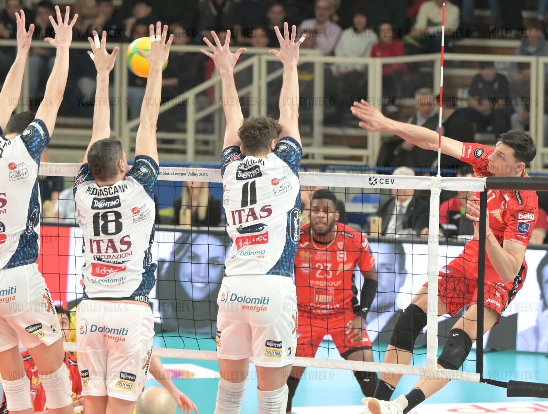 Alex Nikolov and Lube replace Jastrzębski Węgiel at the Club World Championship