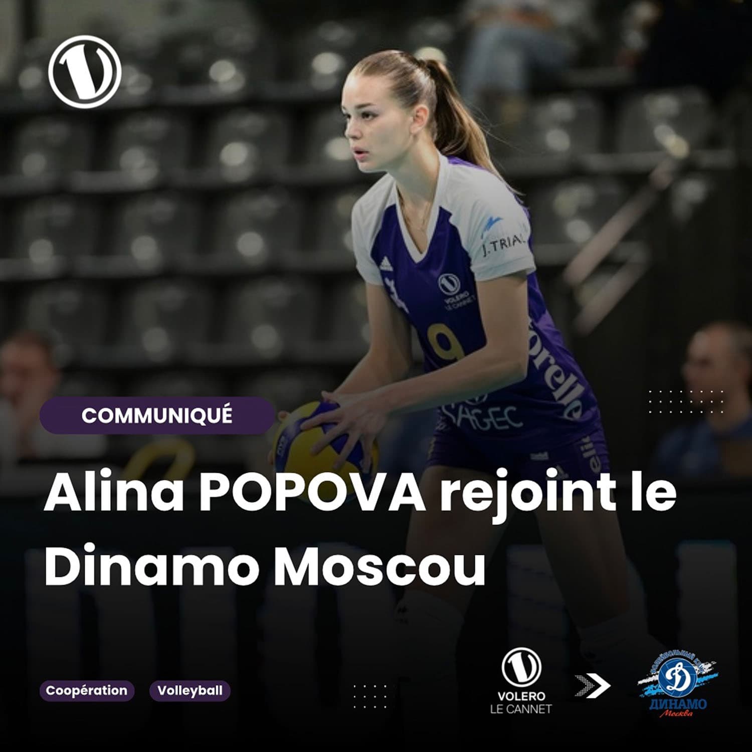 Volero Le Cannet remained without a key receiver